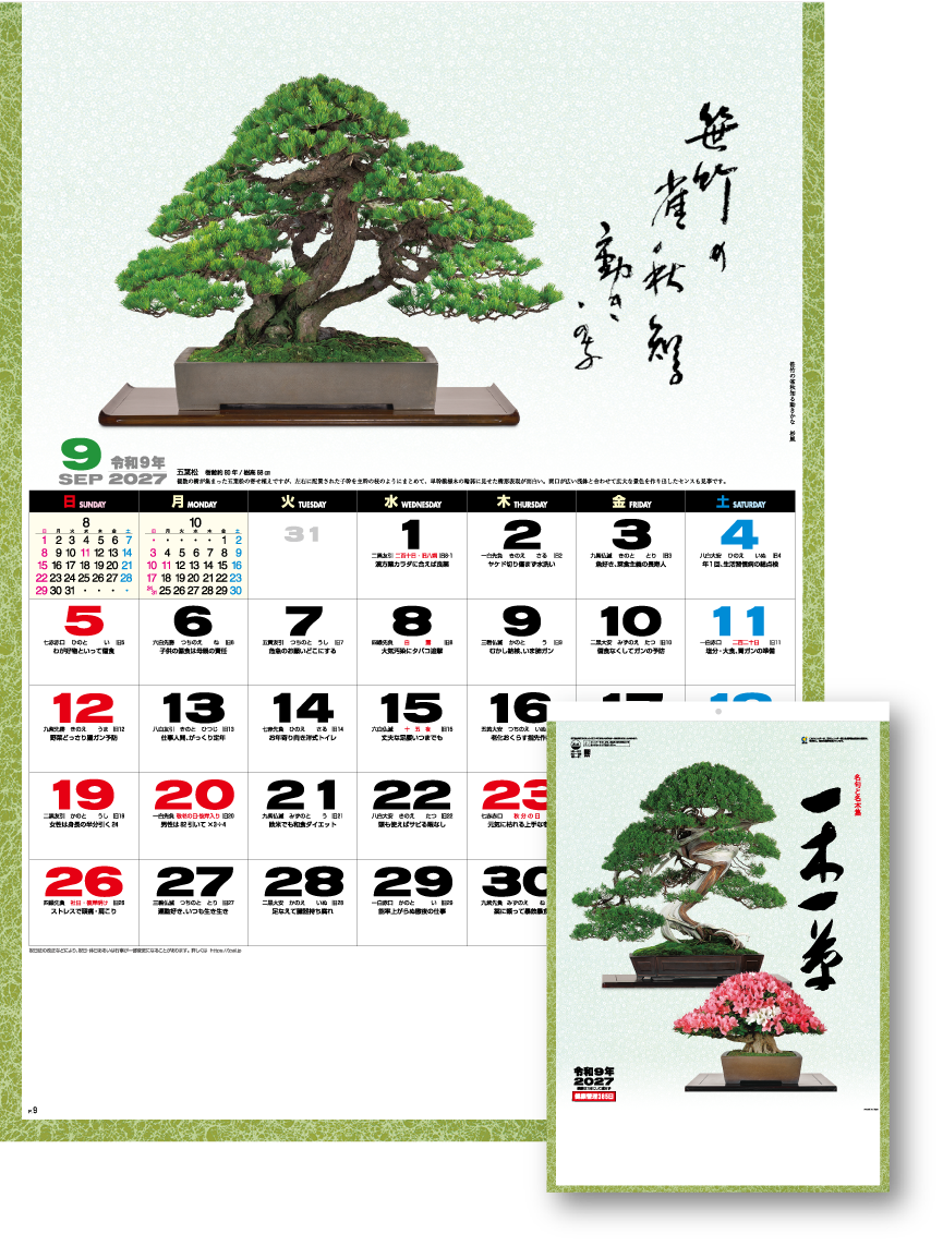 一木一草 No.211